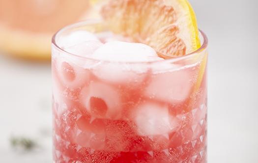 Mocktail Pomton ijsblokjesmaker